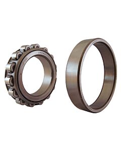 N303 ECP Cylindrical Roller Bearing